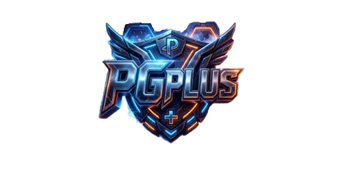 https://www.pgplus.store/